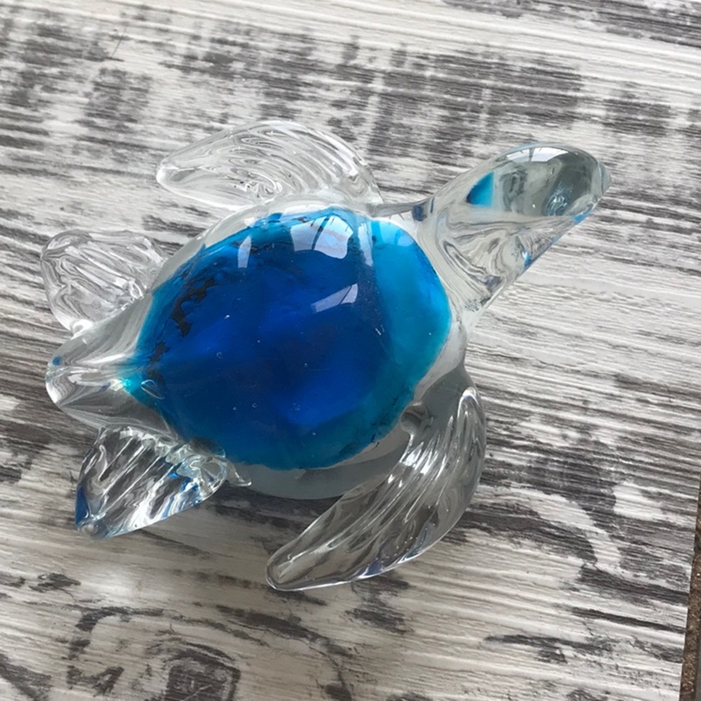 Glass turtle